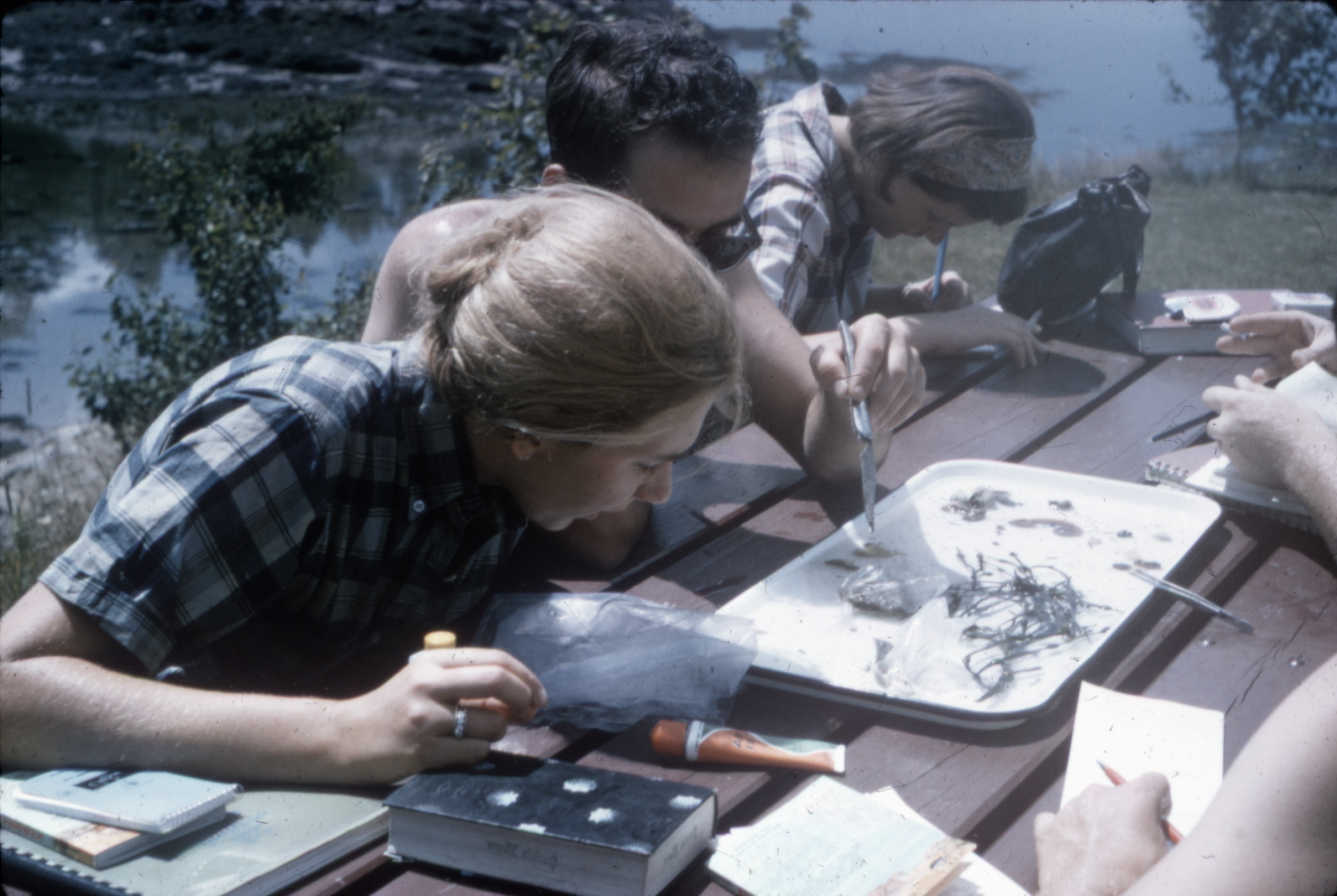 The Research Discovery Website is Live!