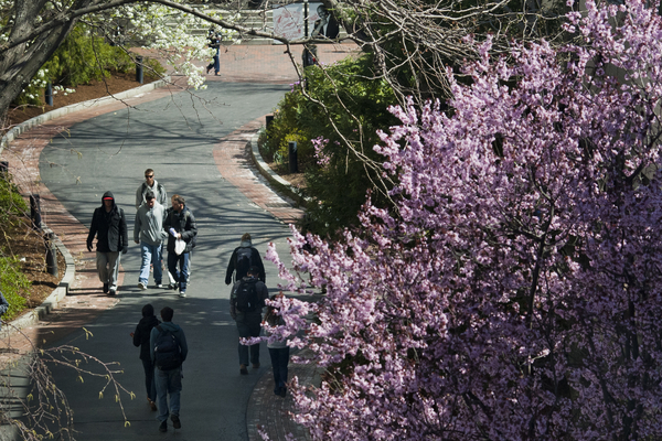 Career Outcomes Data for the Class of 2024 Now Available
